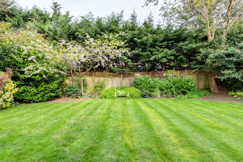 Mid-century Hampstead Home, D2914 (photo 26)