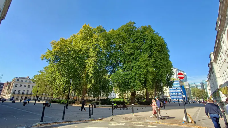 Period Bloomsbury Townhouse, A1126 (photo 62)