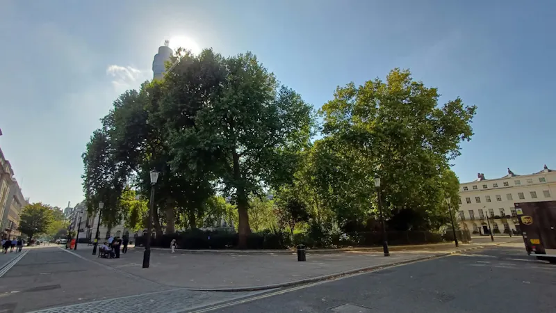 Period Bloomsbury Townhouse, A1126 (photo 63)