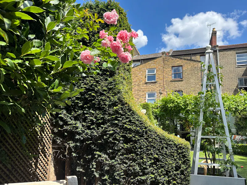 Grand Stoke Newington Townhouse, B2172 (photo 32)